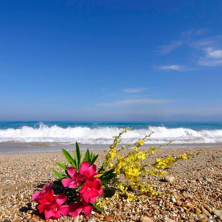 Almyra Beach House Corfu Almiros Beach Екстер'єр фото
