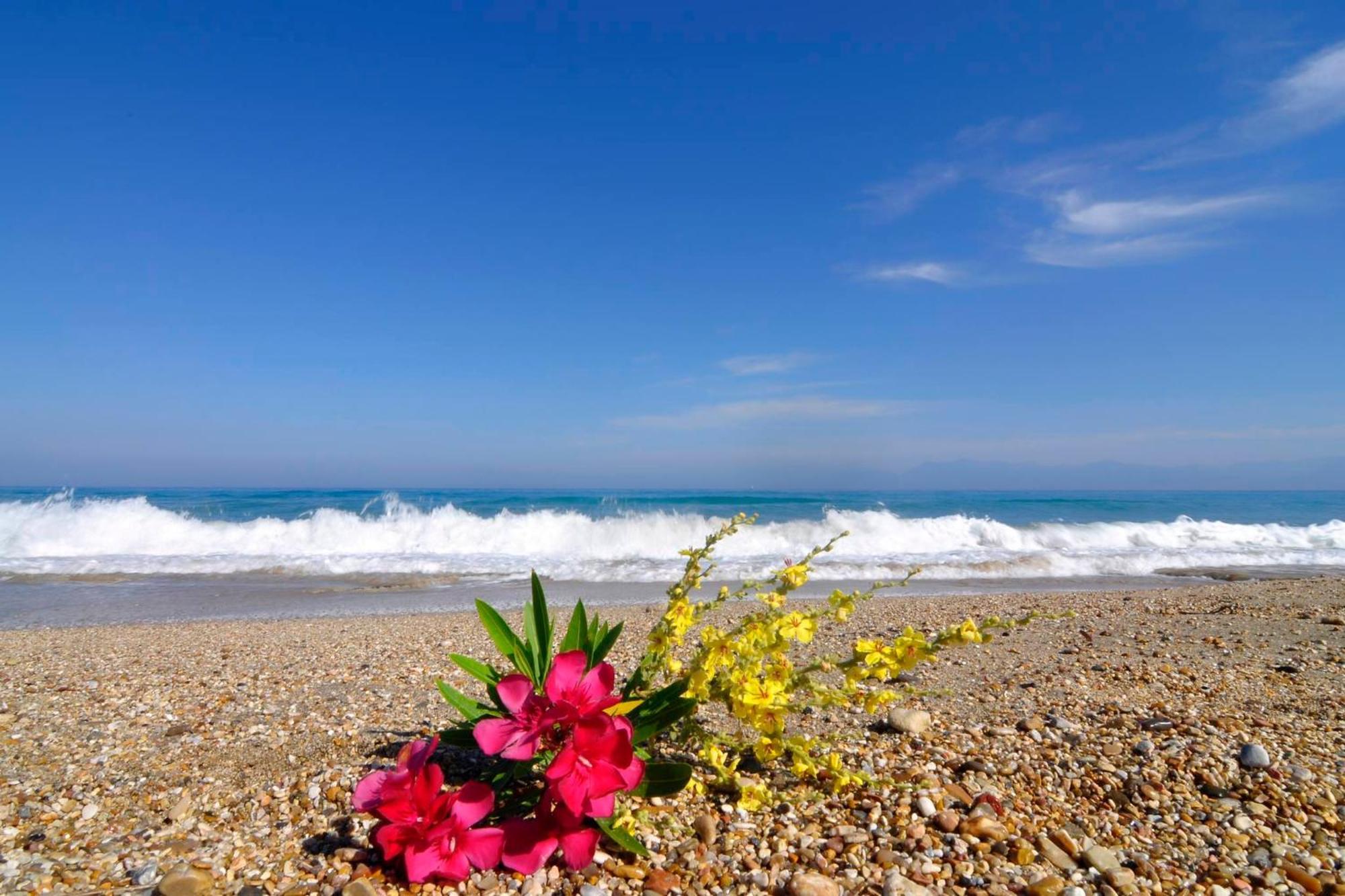 Almyra Beach House Corfu Almiros Beach Екстер'єр фото